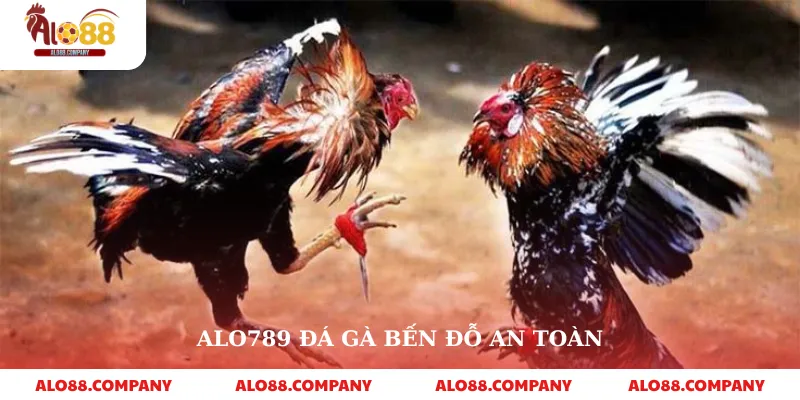 Alo789 Đá Gà – Trải Nghiệm Cá Cược Đỉnh Cao 2 Alo789 đá gà bến đỗ an toàn