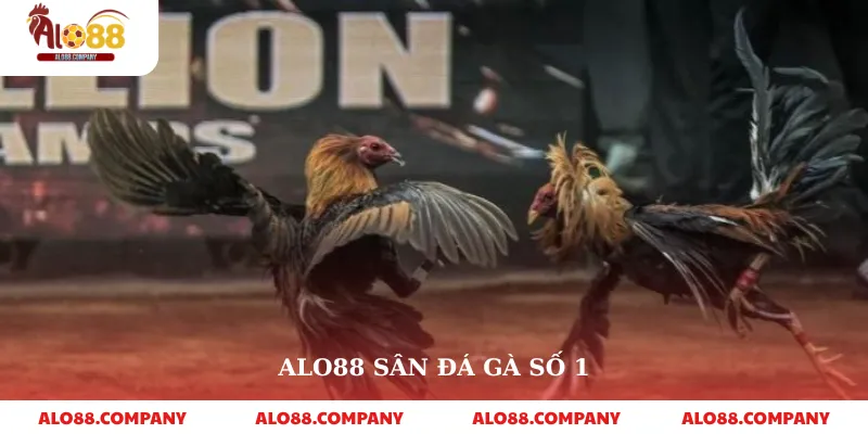 Đá Gà Cựa Dao – Trải Nghiệm Cá Cược Kịch Tính Tại Alo88 3 Alo88 sân đá gà số 1