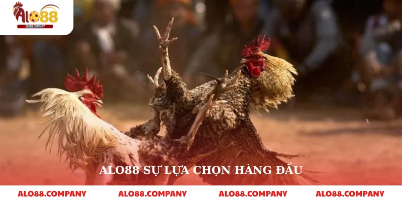 Đá Gà Bình Luận Viên – Trải Nghiệm Cá Cược Sống Động 4 Alo88 sự lựa chọn hàng đầu