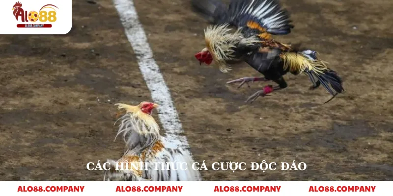 Sv388 Đá Gà – Nền Tảng Cá Cược Trực Tuyến Uy Tín 3 Các hình thức cá cược độc đáo