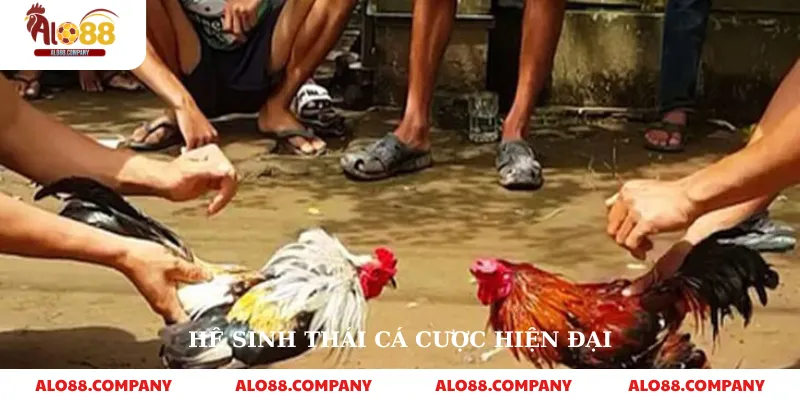 BJ39 Đá Gà – Nền Tảng Cá Cược Trực Tuyến Uy Tín 3 Hệ sinh thái cá cược hiện đại