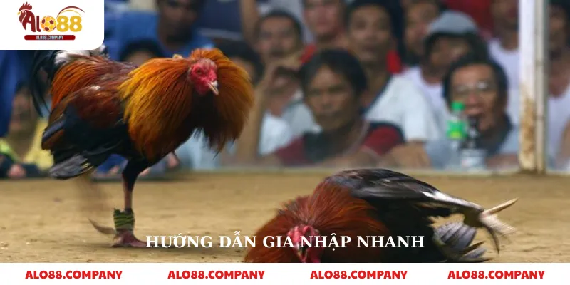 BJ39 Đá Gà – Nền Tảng Cá Cược Trực Tuyến Uy Tín 4 Hướng dẫn gia nhập nhanh