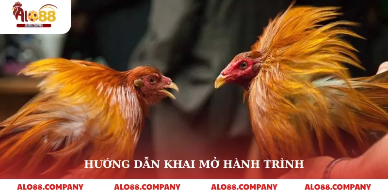 Alo789 Đá Gà – Trải Nghiệm Cá Cược Đỉnh Cao 4 Hướng dẫn khai mở hành trình
