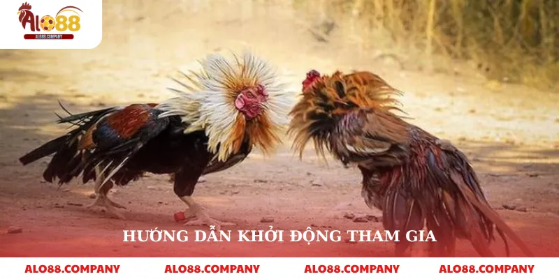 Hướng dẫn khởi động tham gia