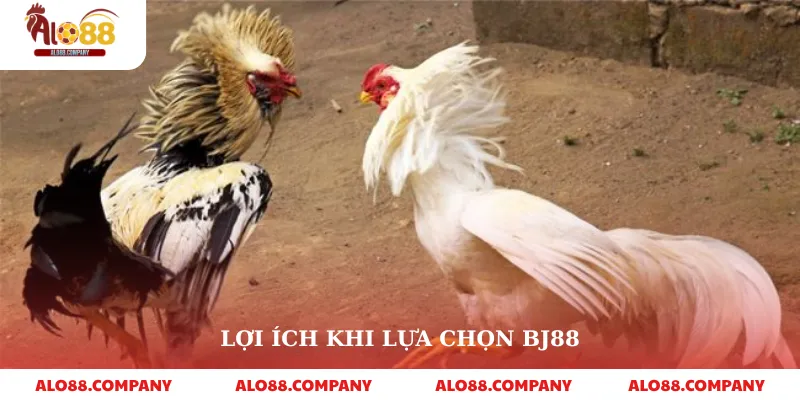 BJ88 Đá Gà – Sân Chơi Cá Cược Trực Tuyến Hấp Dẫn 4 Lợi ích khi lựa chọn bj88