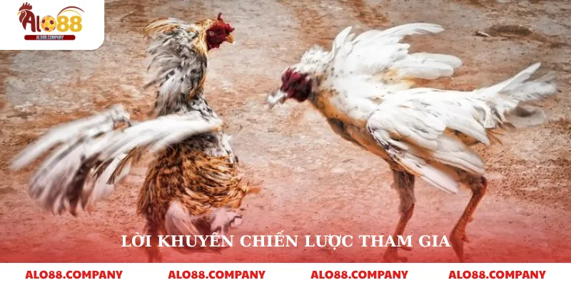 Lời khuyên chiến lược tham gia