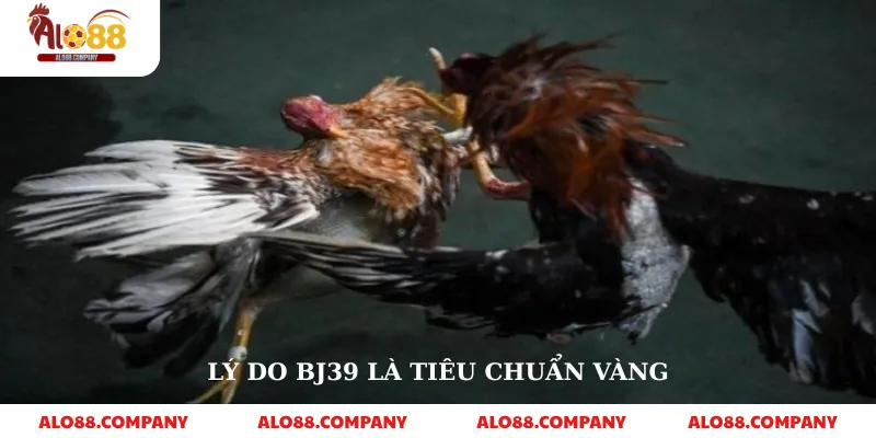 BJ39 Đá Gà – Nền Tảng Cá Cược Trực Tuyến Uy Tín 2 Lý do BJ39 là tiêu chuẩn vàng