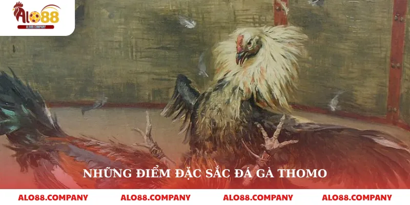 Đá Gà Trực Tiếp Thomo – Sàn Đấu Kịch Tính, Đẳng Cấp Ngay Trên Alo88 3 Những điểm đặc sắc đá gà thomo