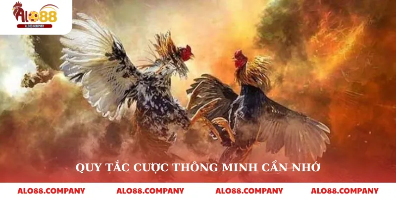 Đá Gà Cựa Dao – Trải Nghiệm Cá Cược Kịch Tính Tại Alo88 4 Quy tắc cược thông minh cần nhớ