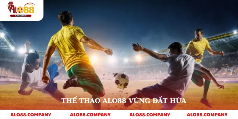 Thể thao Alo88 1 Thể thao alo88 vùng đất hứa